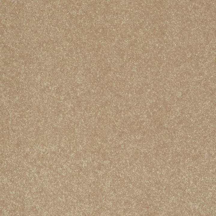 STAINMASTER Essentials Intuition III 12-ft Golden Lab Textured Carpet Sample (Interior)