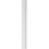 Ekena Millwork 2 in. D x 7 in. W x 60 in. L Primed Polyurethane Pilaster 1-Pack