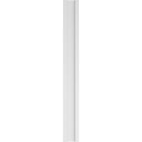 Ekena Millwork 2 in. D x 8 in. W x 72 in. L Primed Polyurethane Pilaster 1- Pack