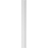 Ekena Millwork 2 in. D x 8 in. W x 72 in. L Primed Polyurethane Pilaster 1- Pack