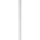 Ekena Millwork 2 in. D x 8 in. W x 102 in. L Primed Polyurethane Pilaster 1- Pack
