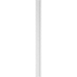 Ekena Millwork 2 in. D x 8 in. W x 108 in. L Primed Polyurethane Pilaster 1- Pack