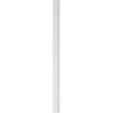 Ekena Millwork 2 in. D x 8 in. W x 120 in. L Primed Polyurethane Pilaster 1- Pack
