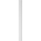 Ekena Millwork 2 in. D x 9 in. W x 102 in. L Primed Polyurethane Pilaster 1- Pack