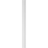 Ekena Millwork 2 in. D x 9 in. W x 108 in. L Primed Polyurethane Pilaster 1- Pack