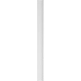 Ekena Millwork 2 in. D x 9 in. W x 108 in. L Primed Polyurethane Pilaster 1- Pack