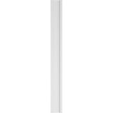Ekena Millwork 2 in. D x 10 in. W x 96 in. L Primed Polyurethane Pilaster (1- Pack)