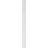 Ekena Millwork 2 in. D x 10 in. W x 120 in. L Primed Polyurethane Pilaster 1- Pack