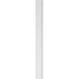 Ekena Millwork 2 in. D x 12 in. W x 120 in. L Primed Polyurethane Pilaster 1- Pack