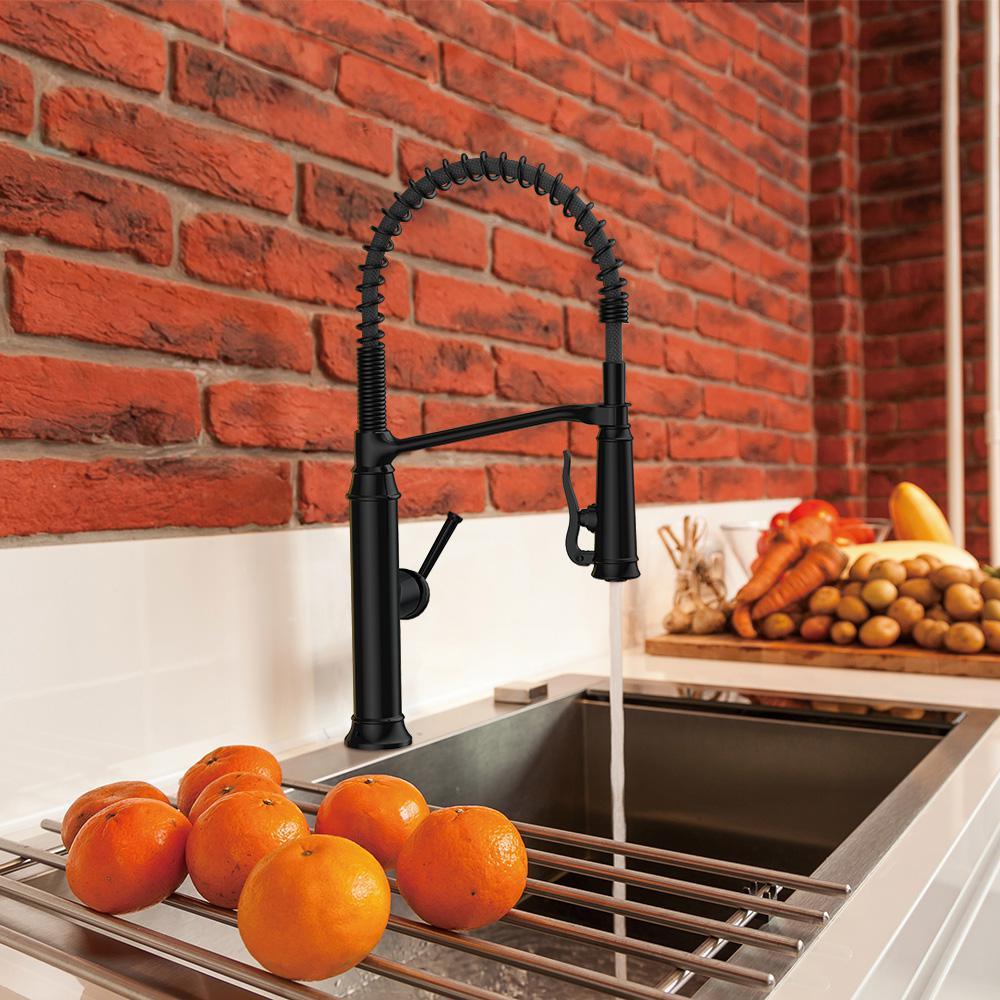 Linscott Single-Handle Coil Springneck Pull-Down Sprayer Kitchen Faucet in Matte Black - Super Arbor