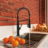 Linscott Single-Handle Coil Springneck Pull-Down Sprayer Kitchen Faucet in Matte Black - Super Arbor