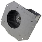 Trane FAN04216 inducer motor - detail view (Voltage: 208/230V; Horse Power: 1/15)