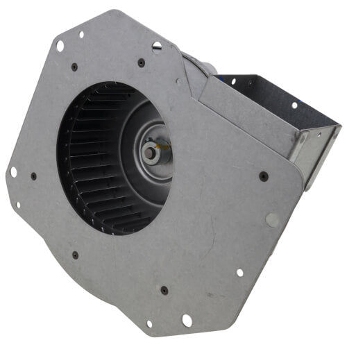 Trane FAN04216 inducer motor - detail view (Voltage: 208/230V; Horse Power: 1/15)
