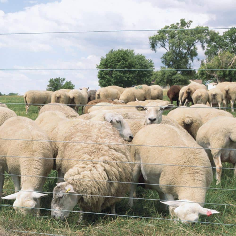 FARMGARD 1/4 Mile 14-Gauge Galvanized Electric Fence Wire