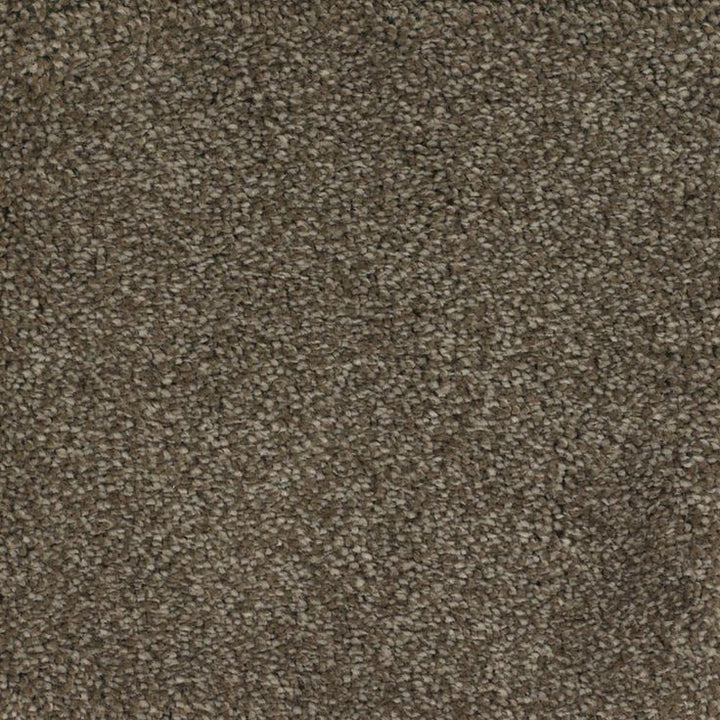 STAINMASTER Signature Briar Patch Smooth Stone Textured Carpet Sample (Interior)
