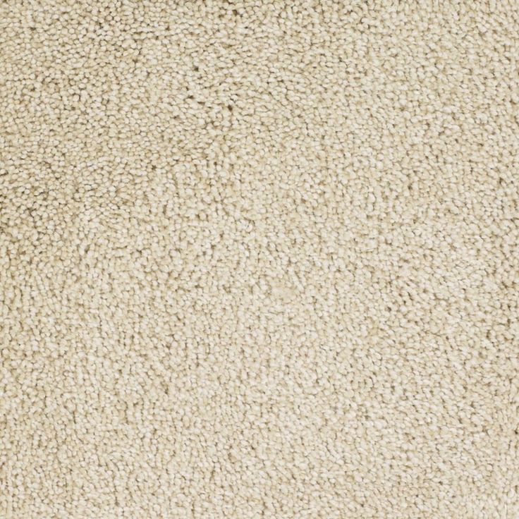 STAINMASTER Signature Briar Patch Tranquil Textured Carpet Sample (Interior)