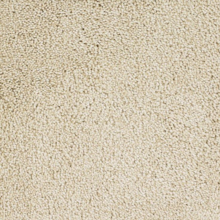 STAINMASTER Signature Briar Patch Tranquil Textured Carpet Sample (Interior)