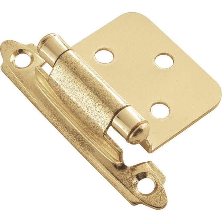 Surface Mount Black Self-Closing Overlay Hinge (2-Pack) - Super Arbor