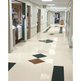 Armstrong Flooring SDT 45-Piece Marble Beige Commercial VCT Tile