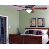 Ceiling Fan and Light White Wall Switch