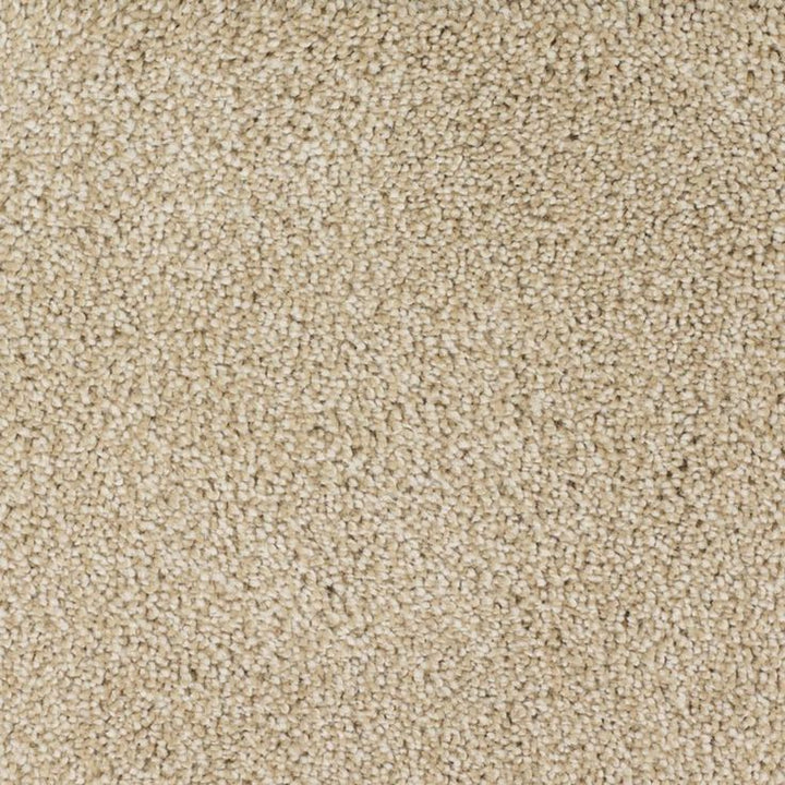 STAINMASTER Signature Briar Patch Canvas Textured Carpet (Indoor)