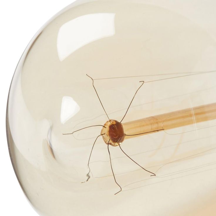 Progress Lighting 40-Watt ST64 Edison E26 Medium Base Vintage Amber Incandescent Light Bulb Warm White
