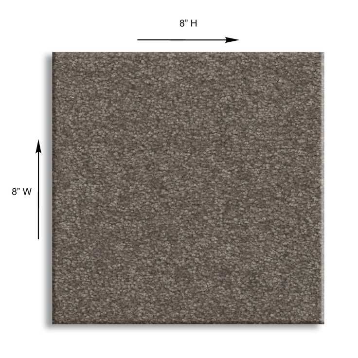 STAINMASTER Essentials Blue Diamonds III 12-ft Iron Textured Carpet Sample (Interior)