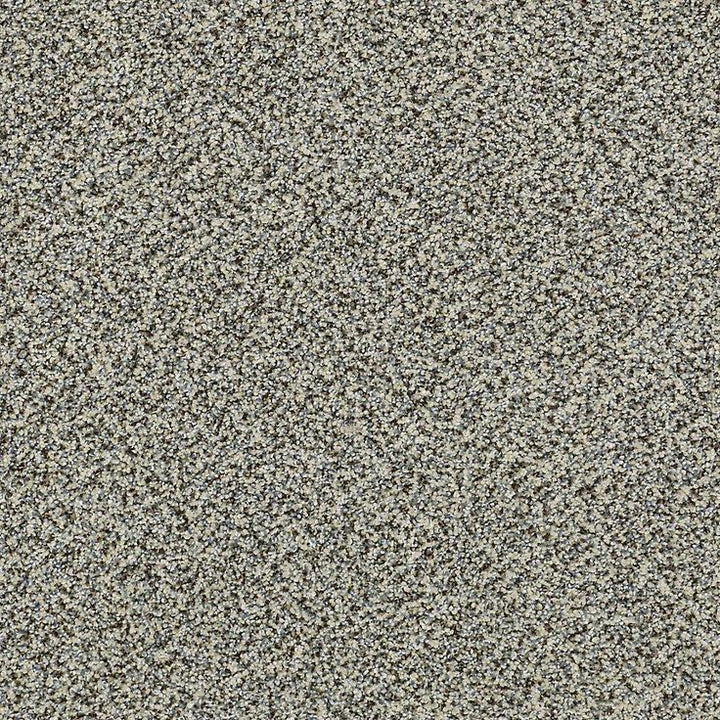 STAINMASTER PetProtect Mineral Bay I 12-ft Tidal Wave Textured Carpet Sample (Interior)