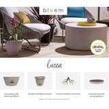 Bloem Freesia Planter w/ Saucer 12" Classic Blue