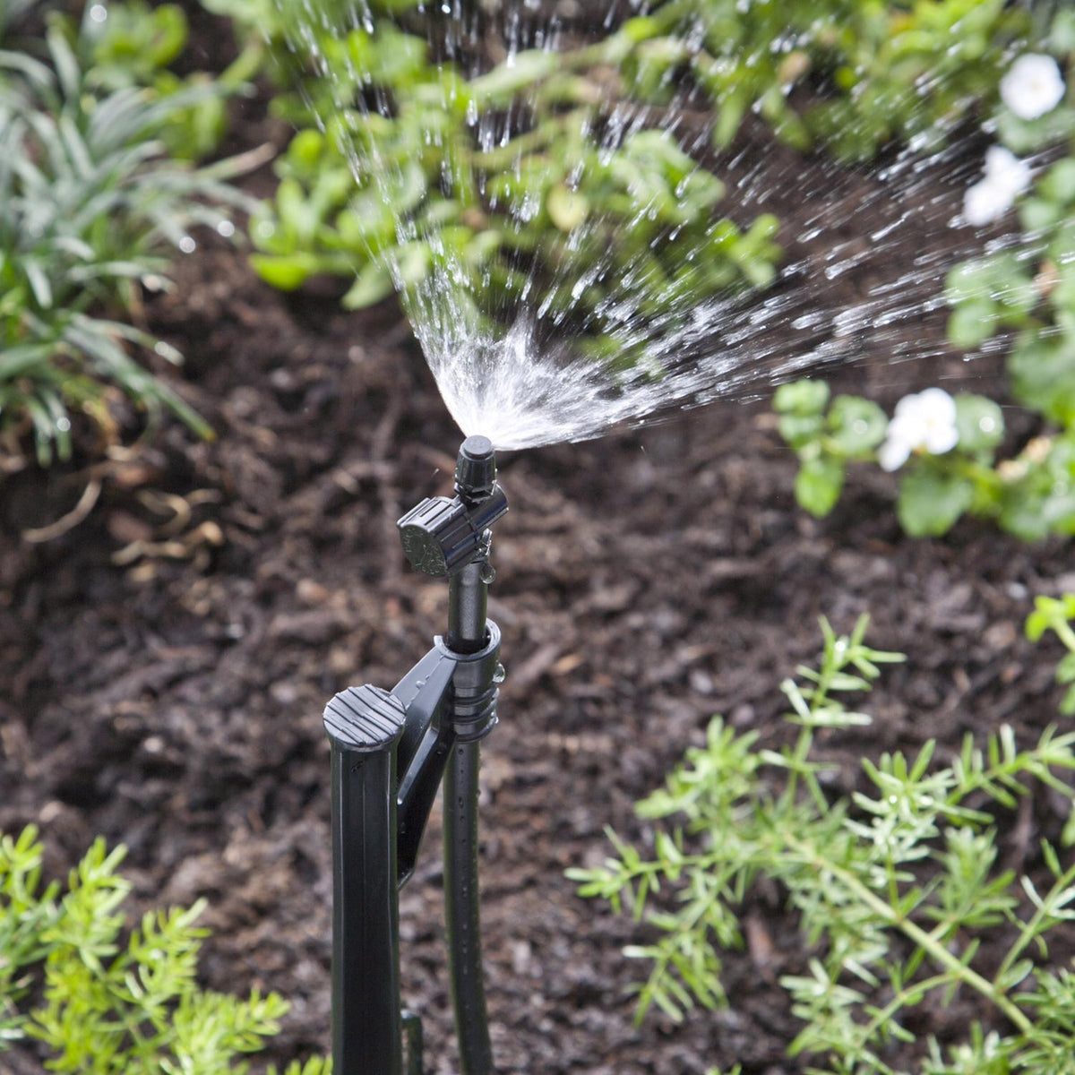 Raindrip Strip Drip Irrigation Micro Spray 12 GPH, 5-Pack