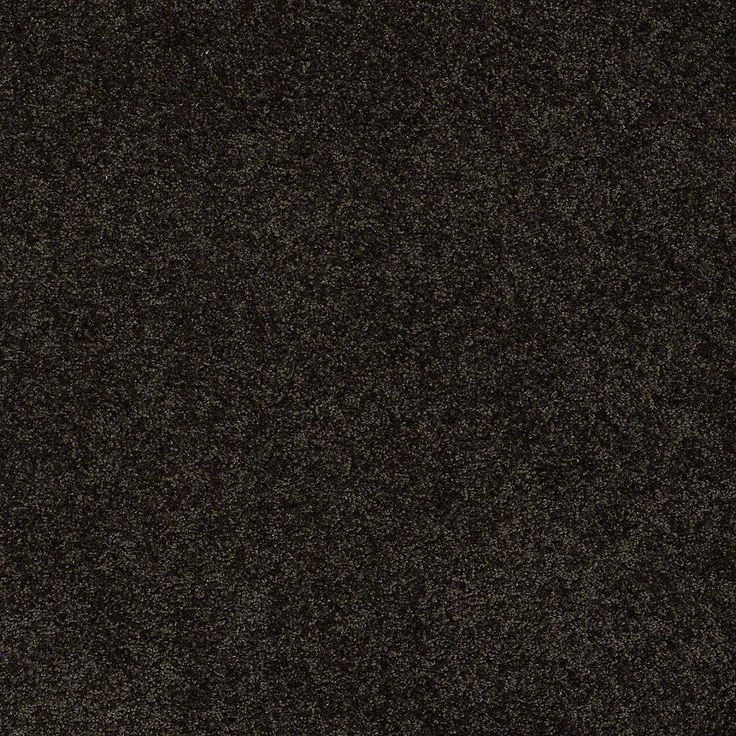 STAINMASTER PetProtect Baxter II Bear Textured Carpet (Indoor)
