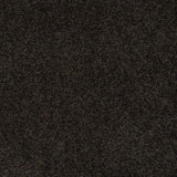 STAINMASTER PetProtect Baxter II Bear Textured Carpet (Indoor)