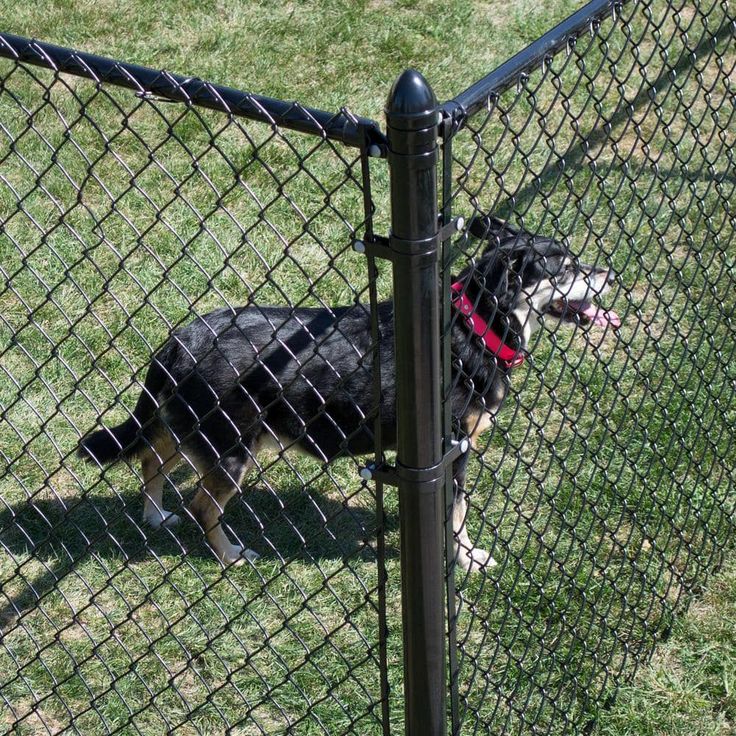 Everbilt 1-3/8 in. Dia x 10 ft. 6 in. 17-Gauge Galvanized Steel Chain Link Fence Black Top Rail