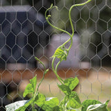 Everbilt 1 in. Mesh 2 ft. x 25 ft. 20-Gauge Galvanized Steel Poultry Netting