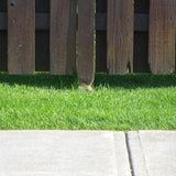 Fence Armor Redwood Fence Post Guard 3.5 in. L x 3.5 in. W x 3 in. H for Wood