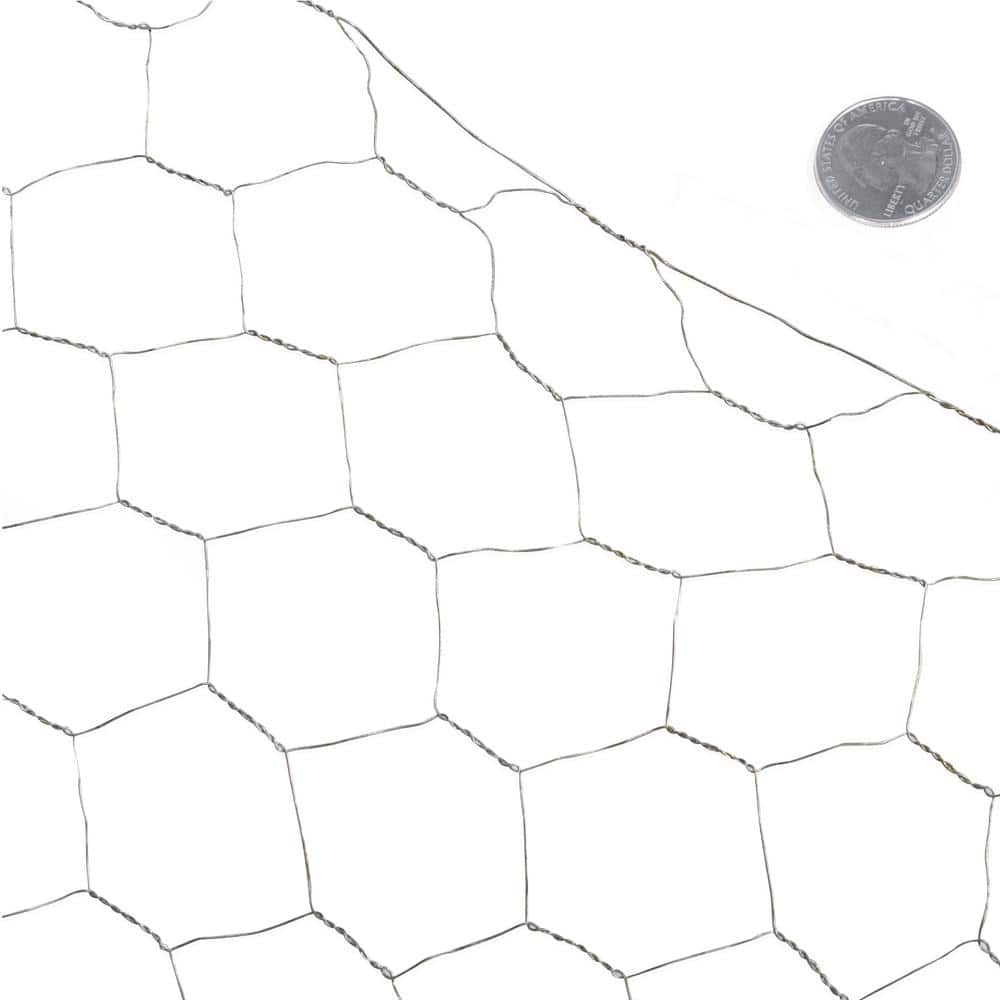 Fencer Wire 3 ft. x 10 ft. 20-Gauge Poultry Netting with 2 in. Mesh