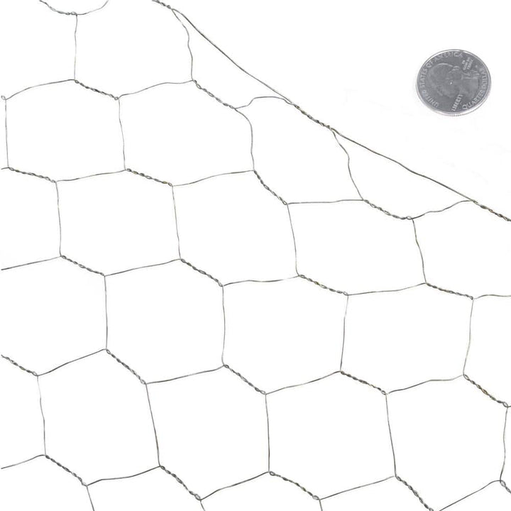 Fencer Wire 3 ft. x 10 ft. 20-Gauge Poultry Netting with 2 in. Mesh