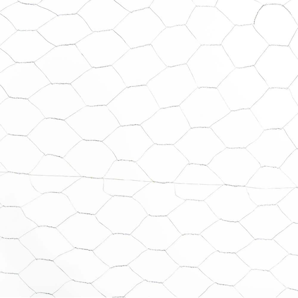 Fencer Wire 3 ft. x 10 ft. 20-Gauge Poultry Netting with 2 in. Mesh