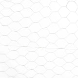 Fencer Wire 3 ft. x 10 ft. 20-Gauge Poultry Netting with 2 in. Mesh
