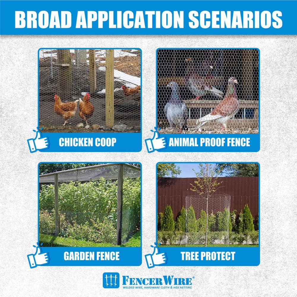 Fencer Wire 3 ft. x 150 ft. 20-Gauge Poultry Netting with 1 in. Mesh