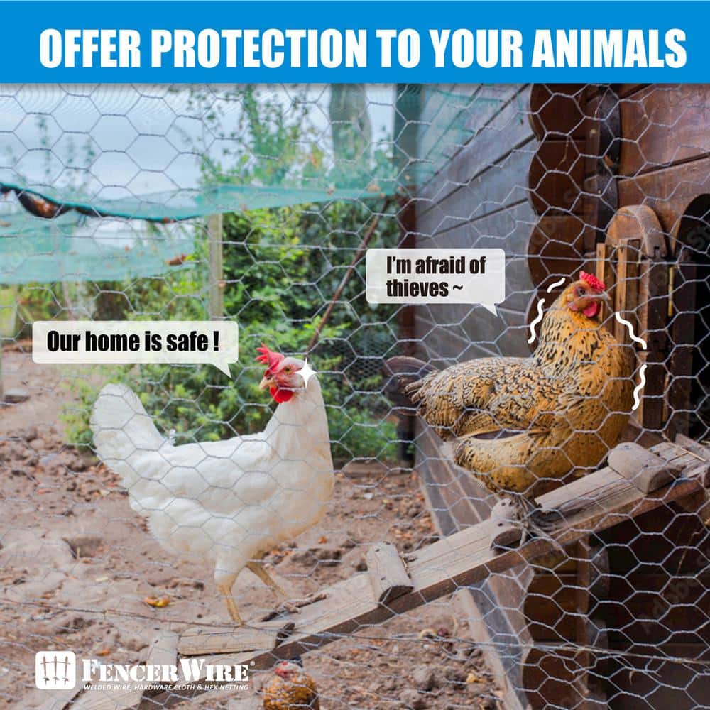 Fencer Wire 5 ft. x 150 ft. 20-Gauge Poultry Netting with 1 in. Mesh