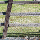 Fencer Wire 3 ft. x 50 ft. 14-Gauge Welded Wire Fence with Mesh 2 in. x 4 in.