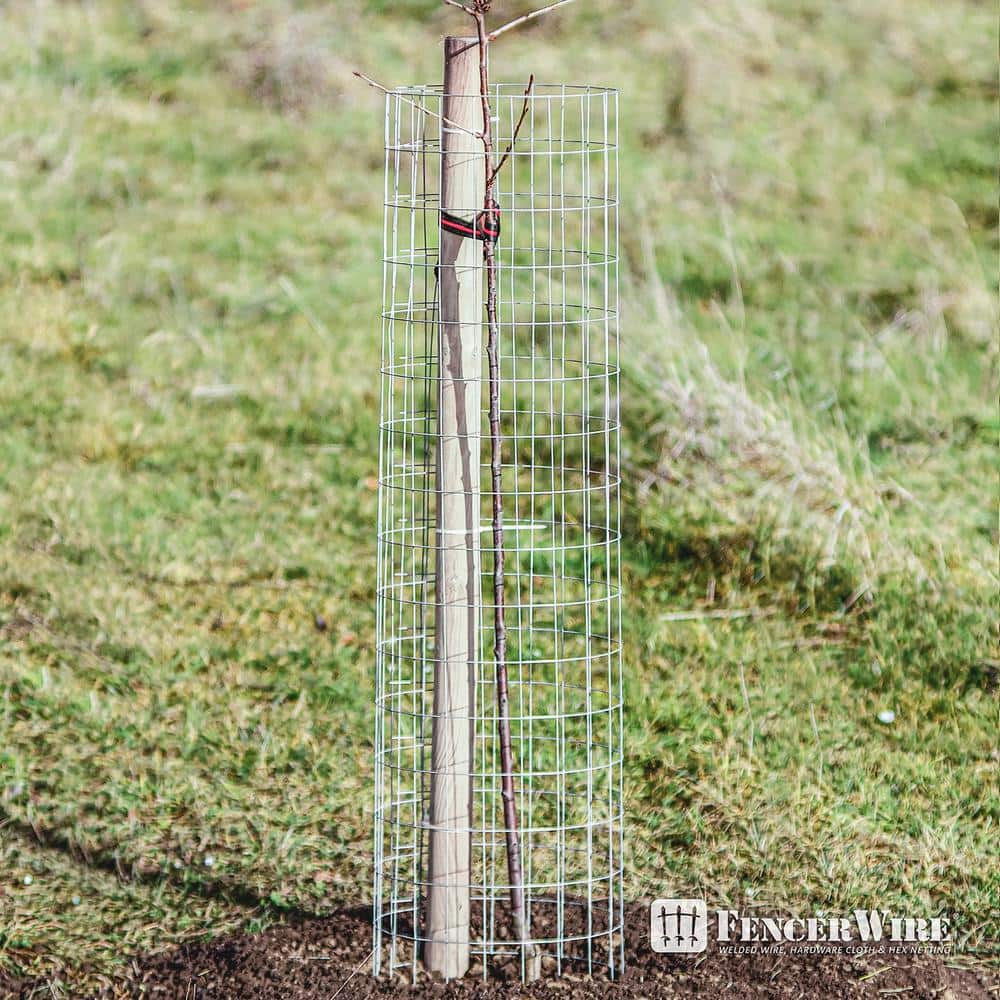 Fencer Wire 3 ft. x 50 ft. 14-Gauge Welded Wire Fence with Mesh 2 in. x 4 in.
