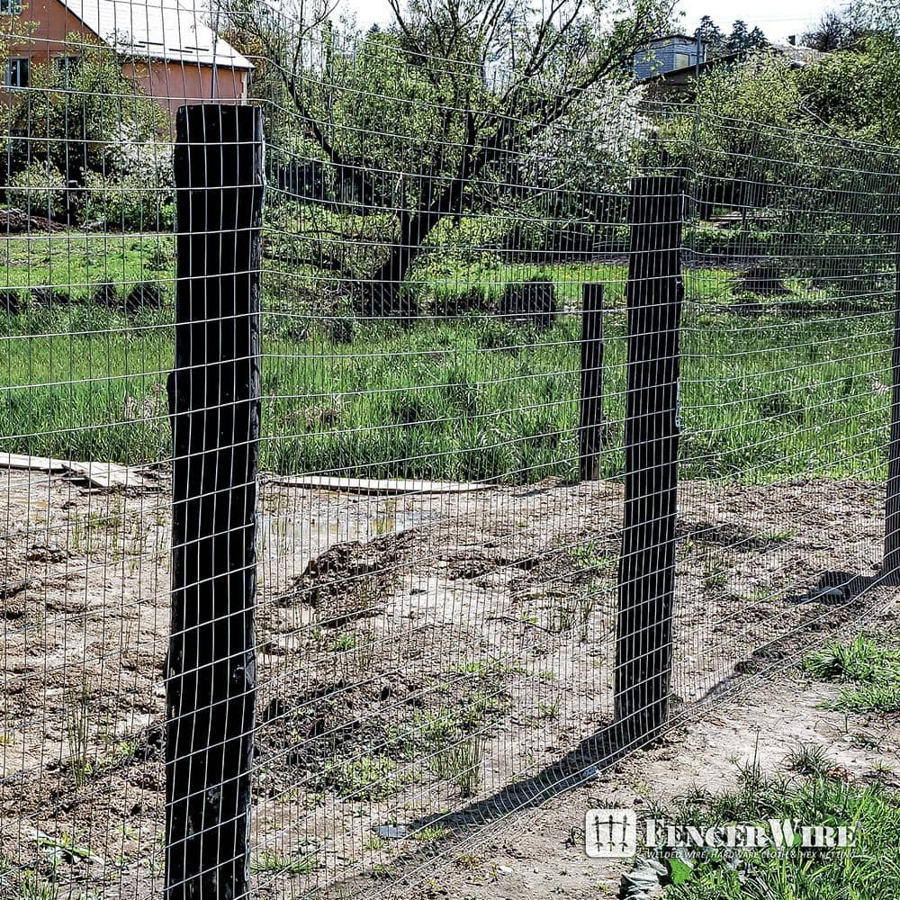 Fencer Wire 3 ft. x 50 ft. 14-Gauge Welded Wire Fence with Mesh 2 in. x 4 in.