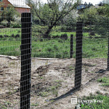 Fencer Wire 3 ft. x 50 ft. 14-Gauge Welded Wire Fence with Mesh 2 in. x 4 in.