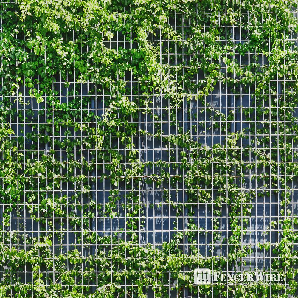 Fencer Wire 2 ft. x 100 ft. 16-Gauge Welded Wire Fence, Mesh Size 1/2 in. x 1 in., Multiple Use Galvanized Welded Wire Roll