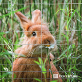 Fencer Wire 2 ft. x 50 ft. 16-Gauge Galvanized Rabbit Fence
