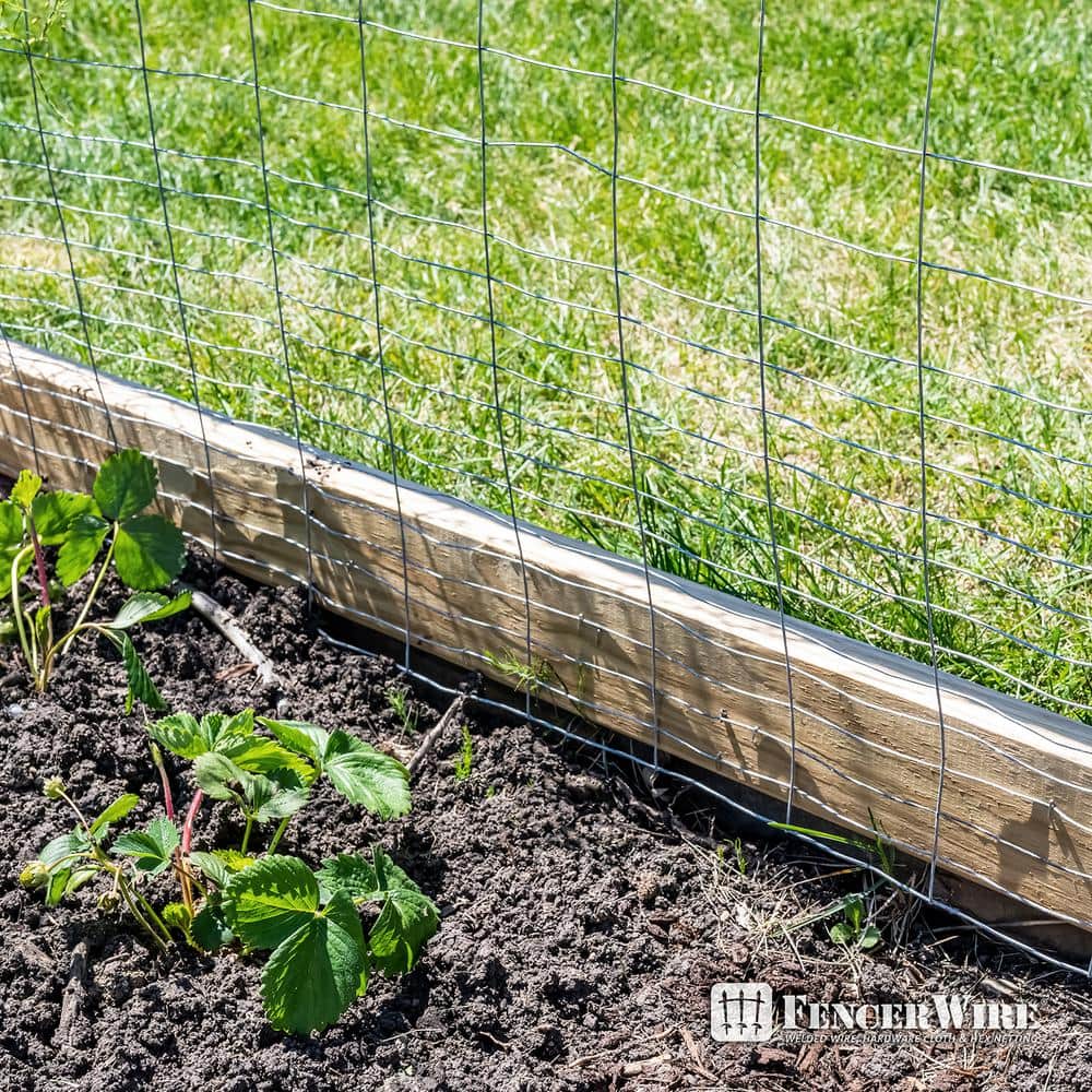 Fencer Wire 2 ft. x 50 ft. 16-Gauge Galvanized Rabbit Guard Garden Fence, Welded Wire Fence for Preventing Rabbits & Small Animals