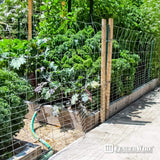 Fencer Wire 2 ft. x 50 ft. 16-Gauge Galvanized Rabbit Guard Garden Fence, Welded Wire Fence for Preventing Rabbits & Small Animals