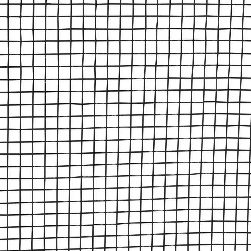 Fencer Wire 2 ft. x 50 ft. 16-Gauge Black PVC Coated Welded Wire Fence with 1/2 in. x 1/2 in. Mesh